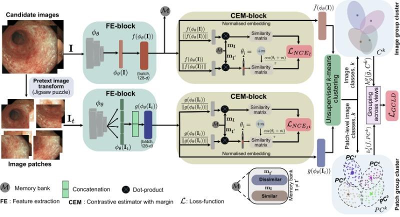 Key figure: Composite pretext-class discrimination with patch- and image-level contrastive estimators and clustering.